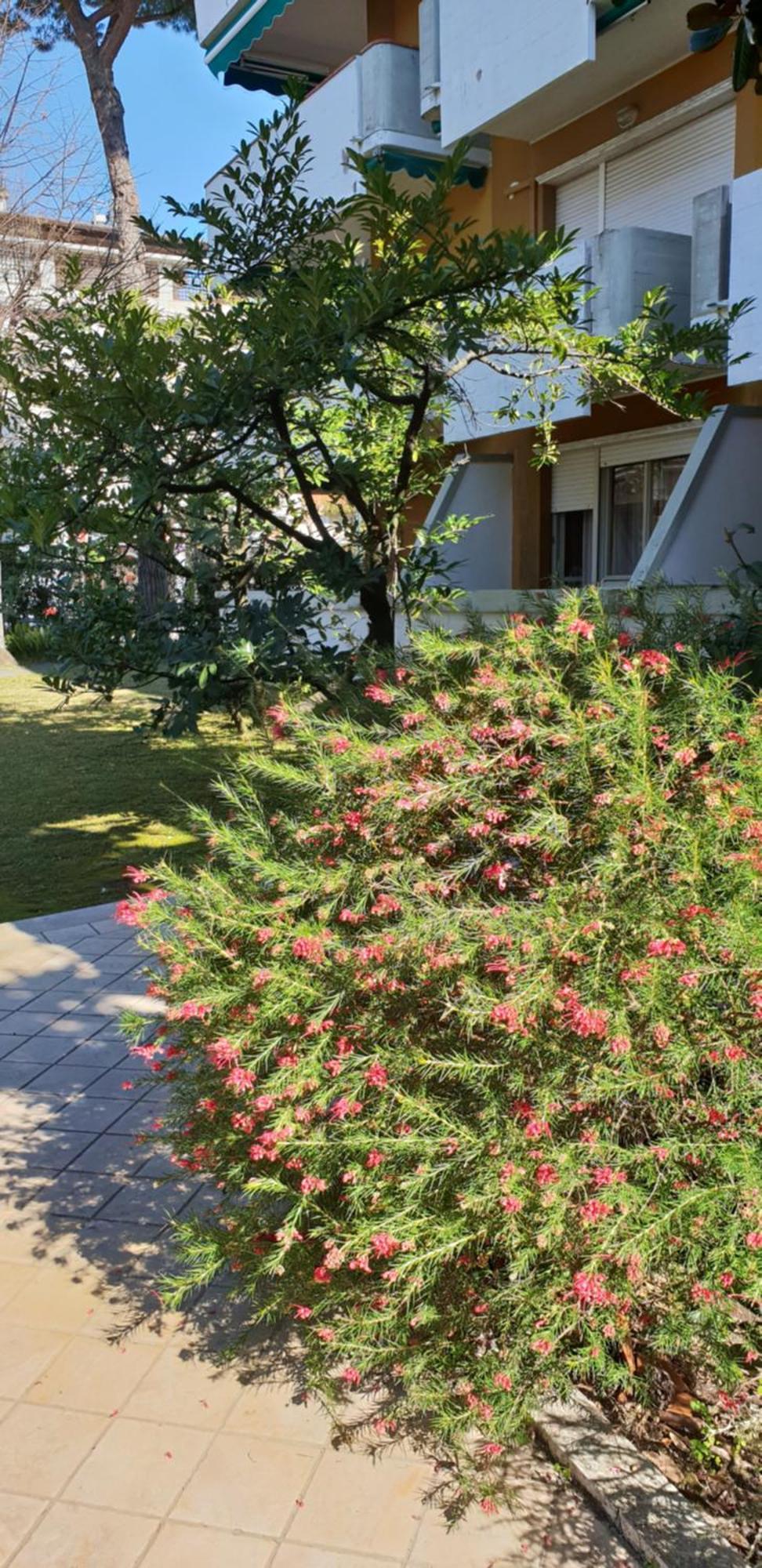 Versilia Apartment Форте-деи-Марми Экстерьер фото